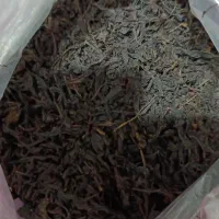 مواد غذایی  بسته بندی شده نوبر