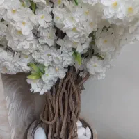 درختچه شکوفه ، گل کنار سالن