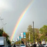 سالن مطالعه دخترانه ویرا