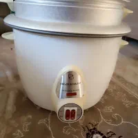 پلوپز ارام پز بخار پز چندکاره سالم ونو