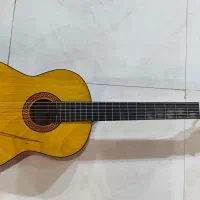 گیتار مدل mv