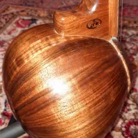 کمانچه حرفه ای (برادران حاتمی)