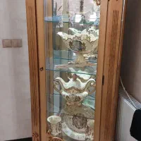 ویترین کاملا چوبی هالوژن دار