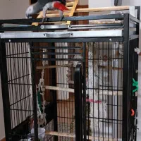 قفس بزرگ کاسکو