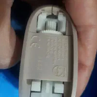 اپیلیدی فیلیپس اصل
