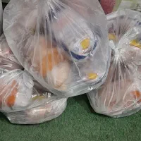 مرغ یخی