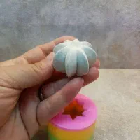قالب سیلیکونی