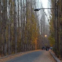 آموزش رانندگی خصوصی فقط بانوان محترم