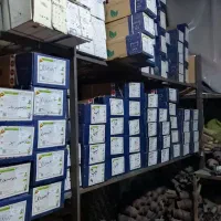 خرید کاتالیزور(catalyst)|خدمات موتور و ماشین|کرج, خرمدشت|دیوار