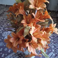 گل گلدان|گل مصنوعی|سبزوار, امیر کبیر|دیوار