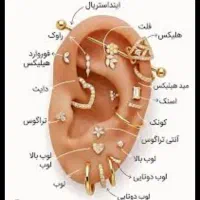 مرکز پخش پیرسینگ و خد ما ت پیرسینگ