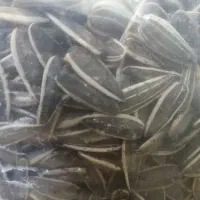 خشکبار عمده و تولید شکر بسته بندی