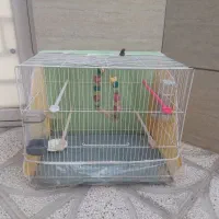 قفس پرنده باوسایل