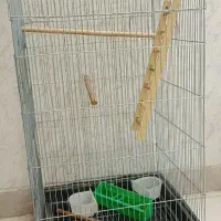 قفس پرنده