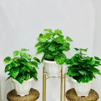 گل مصنوعی ویژه شب عید|گل مصنوعی|اهواز, کوی مهدیس|دیوار