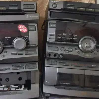 فقط کلگی