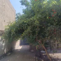 فروش-و-معاوضه-با-واحدهای-نوساز