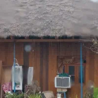 اجاره منزل|اجارهٔ خانه و ویلا|سنگر, |دیوار