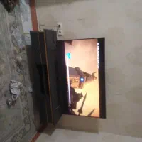 تلوزیون ایکس ویژن