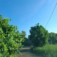 500متر-زمین-مسکونی-سندتکبرگ-براصلی-روستای-لله-کا