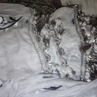 پرده بزرگ