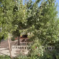 اجاره یا رهن خانه ویلایی ۴۳۰ متری  شهرک امیر کبیر|اجارهٔ خانه و ویلا|اراک, |دیوار