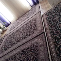 فرش|فرش|کوزران, |دیوار