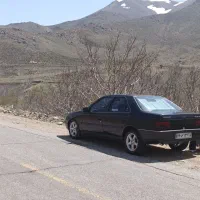 پژو ۴۰۵مشگی