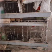 قفس مخصوص مرغ وخروس وغیره