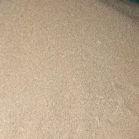 گندم|خوردنی و آشامیدنی|بلوک, |دیوار