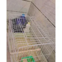 قفس خرگوش ۸۰۰ تومن