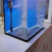 ۷ تا اکواریوم شیشه ۸ میل و ۱۰ میل