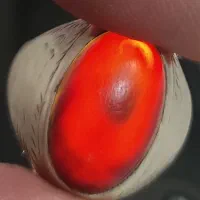 سرخ مورچه خور کهنه