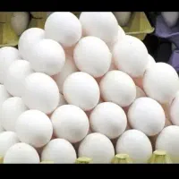 سفیده تخم مرغ