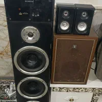 باند سونیا سالم