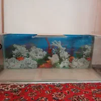 آکواریوم و تعدادی وسایل