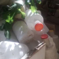 دبه خالی خیارشور