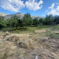 فروش-باغ-و-یخچال-طبیعی-در-روستای-گردشگری-ولیدر