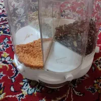جای حبوبات