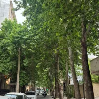 حرکت ب خوزستان فردا