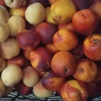 شلیل با کیفیت