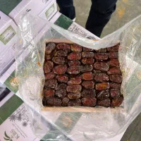 خرما کبکاب درجه یک خشت