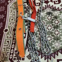 قلاده سگ