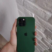 12 pro max
