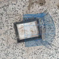 قفس پرنده