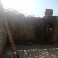خانه باغی