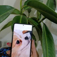 گوشی شیاموئی note11pro