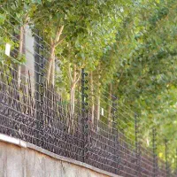 حفاظ/ فنس الکتریکی/ امنیت/ فنس برقی