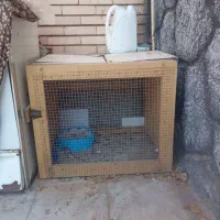 قفسه بندی