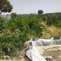 باغچه-نقلی-204-متری-سندیت-آب